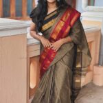 Authentic Narayanpet Checked - Ganga Jamuna Border