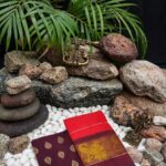 Elite Pure Kanchi Cotton Sarees