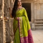 Elite Pochampally Softsilk Sarees