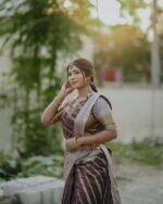 Elite Banaras Soft Silk with Beautiful Colour Combos - Image 6