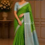 Elite Banaras Warm Silk with Beautiful Colour Combos