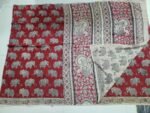 Authentic Kalamkari Cotton Sarees - Image 2